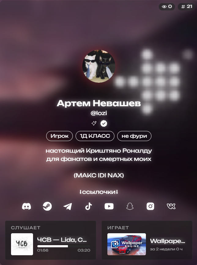profile preview