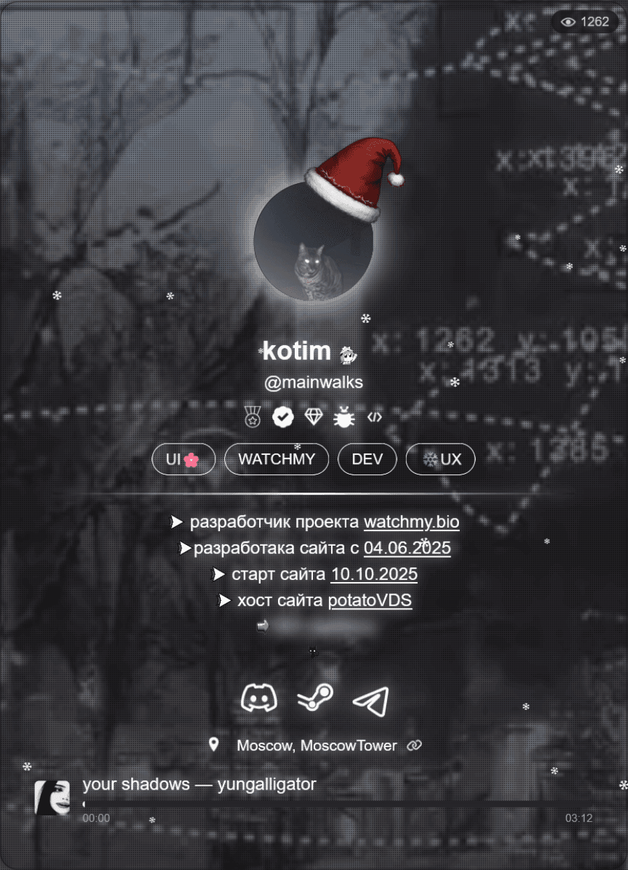 Profile example 2